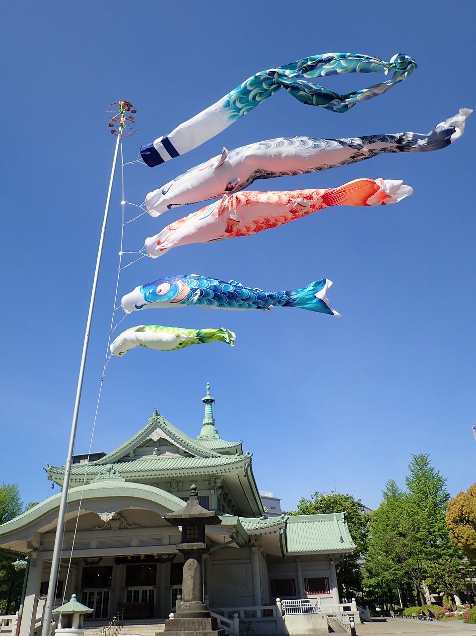 鯉のぼりと慰霊堂