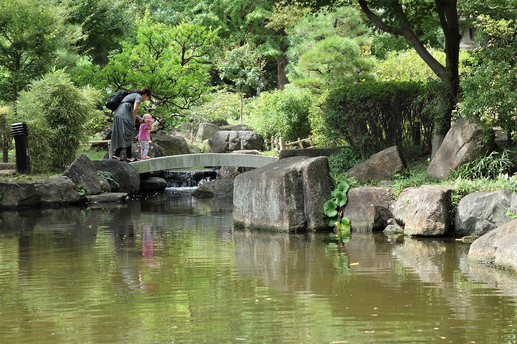 緑の中の石橋