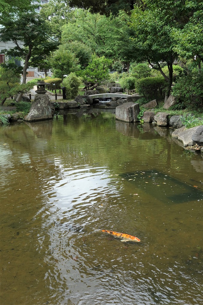 静かな水面